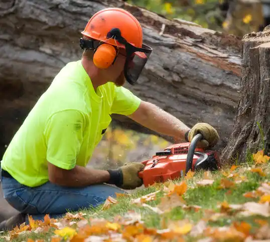 tree services Sunbury